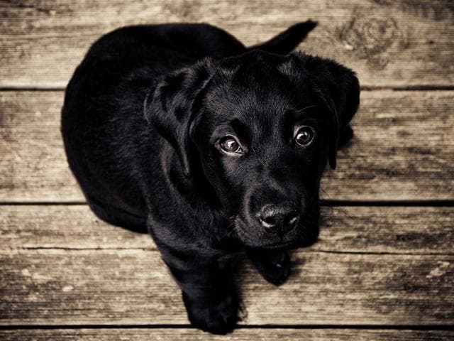 Torku Penne 500g
